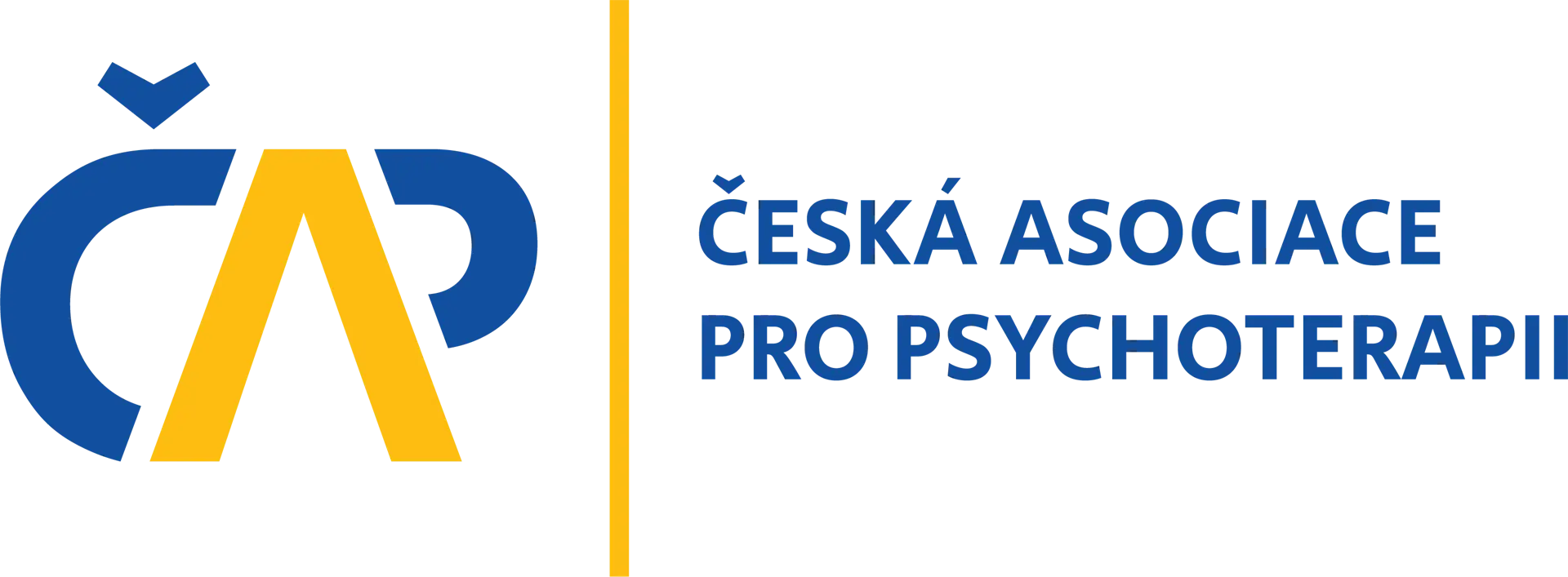 Česká asociace pro psychoterapy